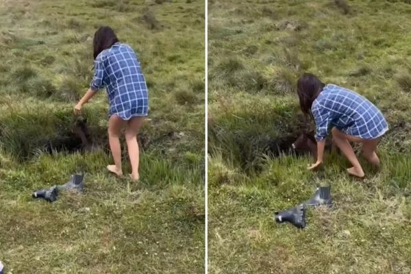 Doğada Yardıma Koşan Kadın, Suya Düşen Yabani Tayı Kurtardı