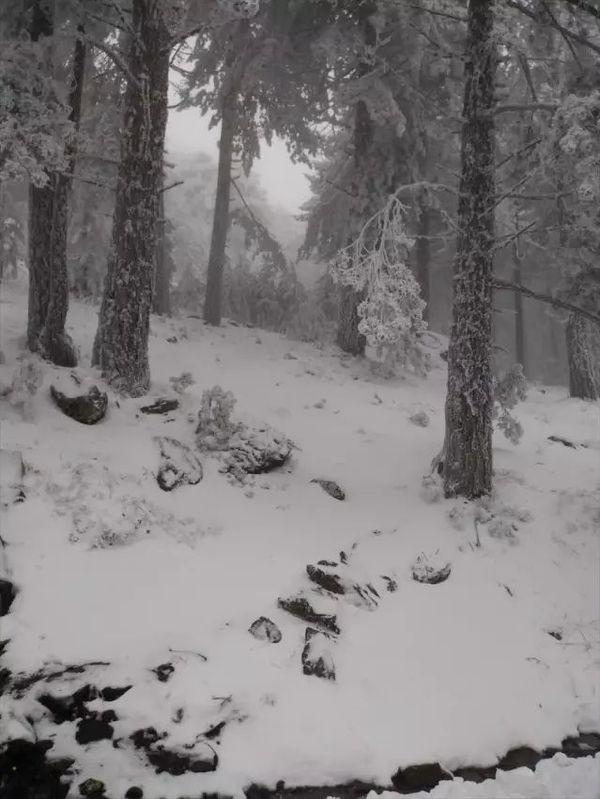 Kazdağları Milli Parkı’nda Yoğun Kar Yağışı ve Sis Etkili Oldu