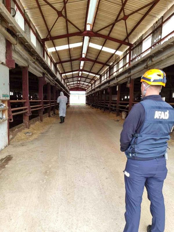 Çorum'daki Çiftlikte Gaz Sızıntısı İhbarı Sonrası AFAD İncelemesi