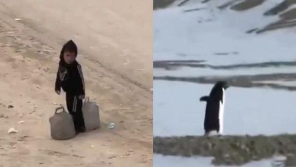 Gazze'deki Çocukların Zorlu Yaşam Mücadelesi ve Sağlık Sisteminin Çöküşü