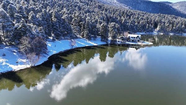 Gölcük Parkı'nda Mangal Kullanımı Toprakta Kanserojen Kirleticileri Artırdı